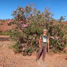 Alfred with oleander in full blossom
